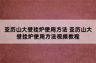 亚历山大壁挂炉使用方法 亚历山大壁挂炉使用方法视频教程